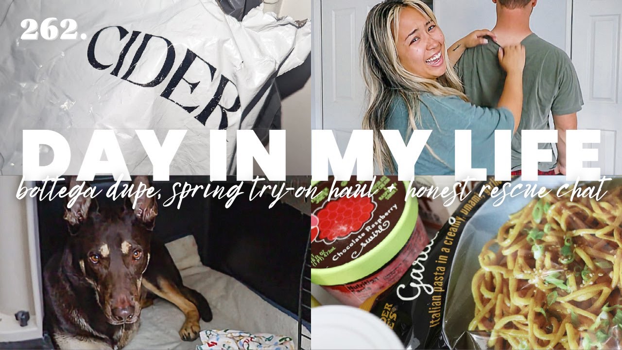 NEW SPRING BAG: Bottega Veneta Cassette Brick Dupe + Cider Spring Try-On Haul | Vlog 262