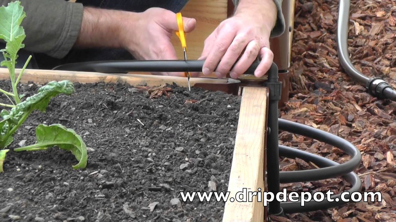 How to install a Drip Irrigation System in Raised Beds