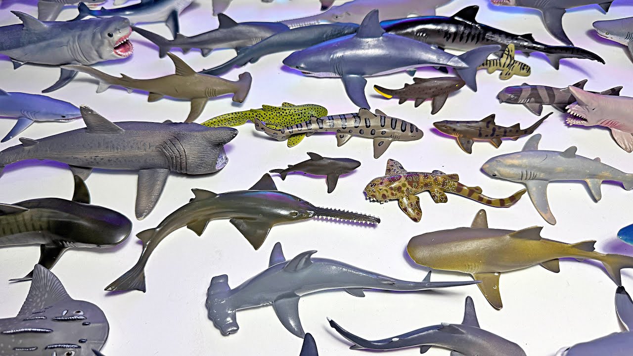 NEW Sharks Toys, Great White Shark, Tiger Shark, Bull Shark, Hammerhead Shark, Mako Shark