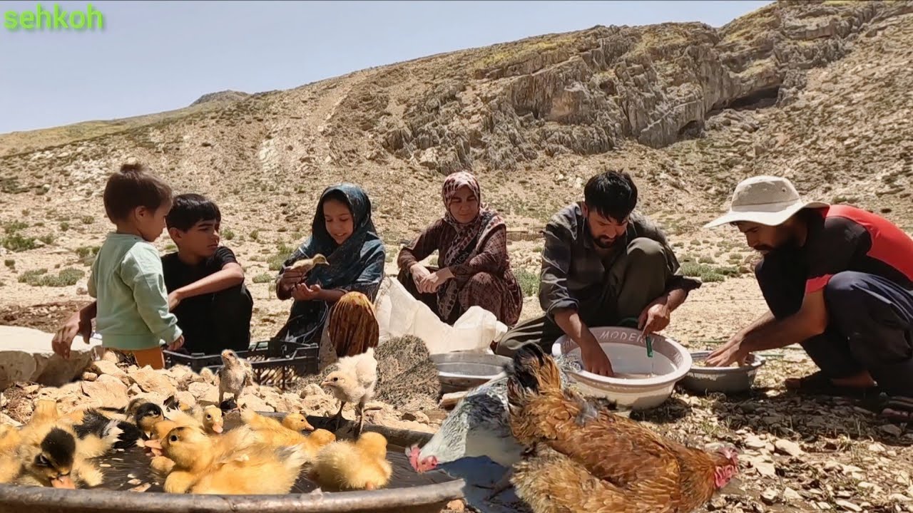 Nomadic Family Life in the Zagros Mountains | Building a Chicken Coop, Beekeeping & Cooking