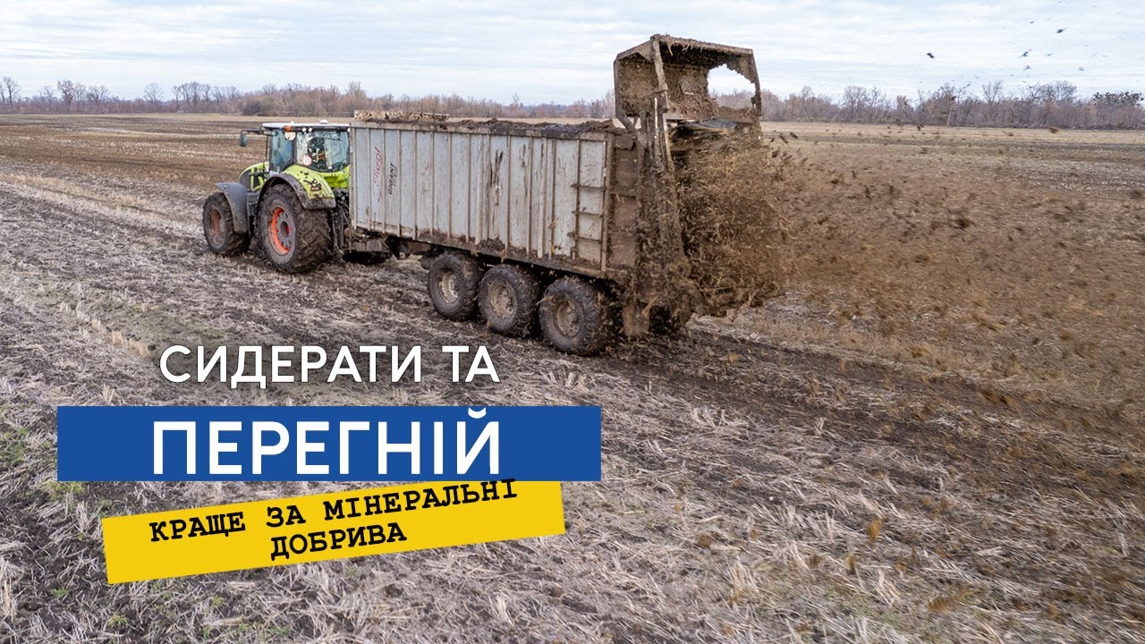 Що краще для кукурудзи — 40 тонн гною чи 40 мм дощу?