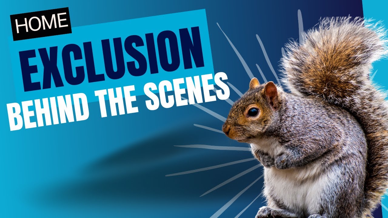 Squirrel Surprise! One Way Door Install Turns Into a Close Call 😲