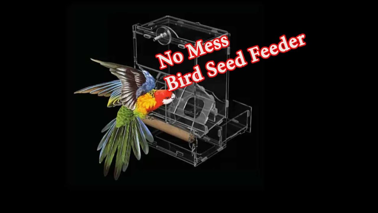 No mess Acrylic Bird Seed Feeder for finches and small parakeets | DIY