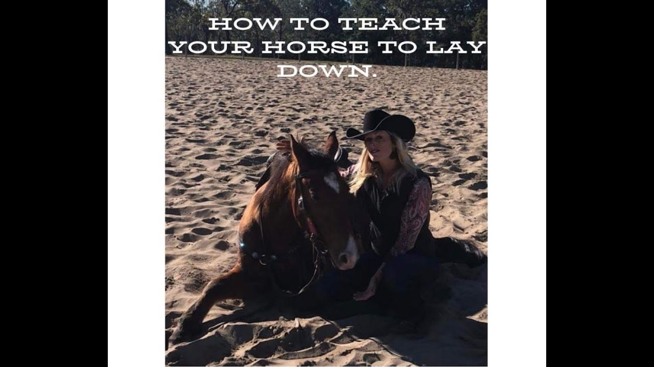 How To Teach Your Horse To Lay Down
