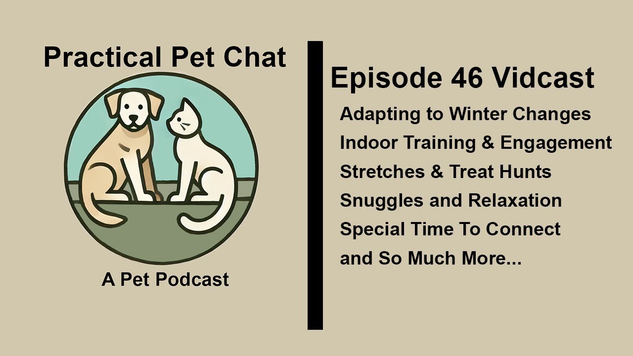 Practical Pet Chat - Episode 46 - Creating Brainiacs - Winter Indoor Interactions, Training & More
