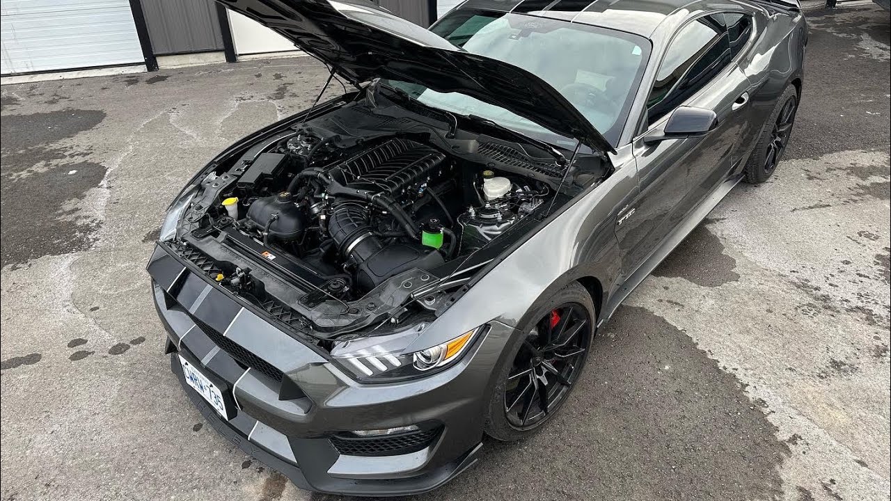 Making 800+hp with a Shelby GT350!!