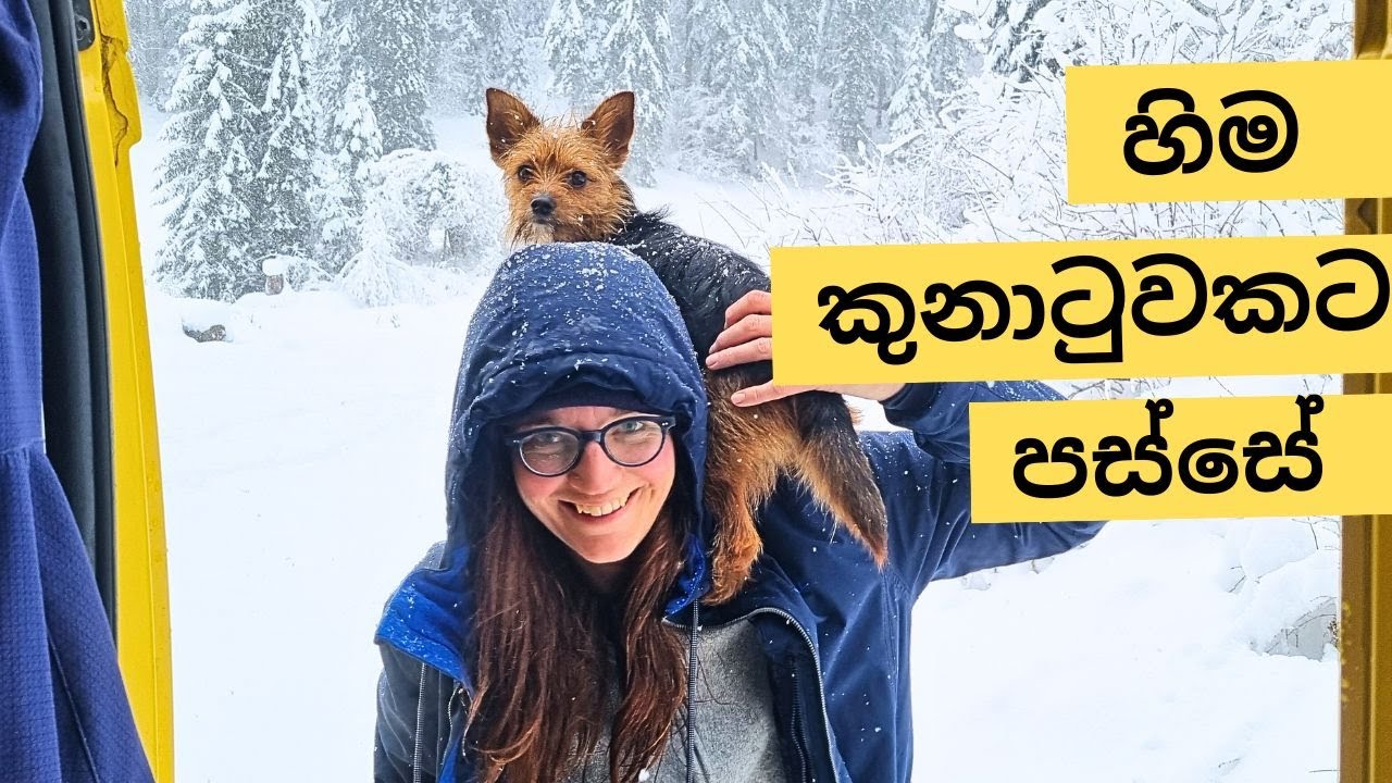 ස්විට්සර්ලන්තයේ හිම කුනාටුවකට පස්සේ ලස්සන බලන්න!