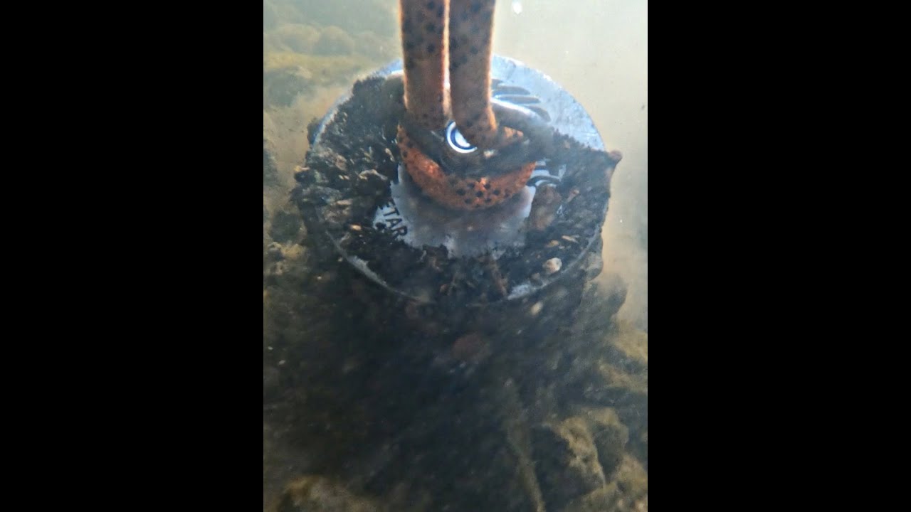 Unterwasser beim Magnetfischen #shorts #unterwasser #underwater