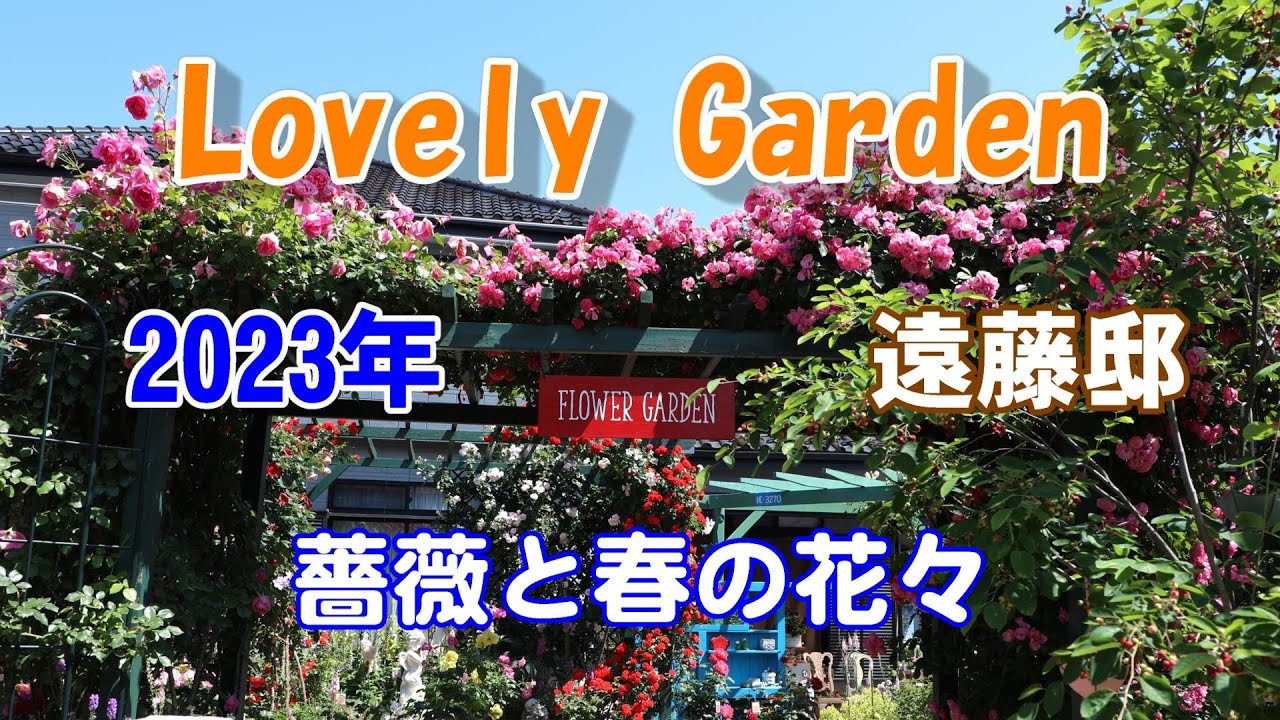 素敵なお庭を拝見・オープンガーデン／薔薇をメインにした春の花々／埼玉県春日部市・遠藤邸　2023.5.16