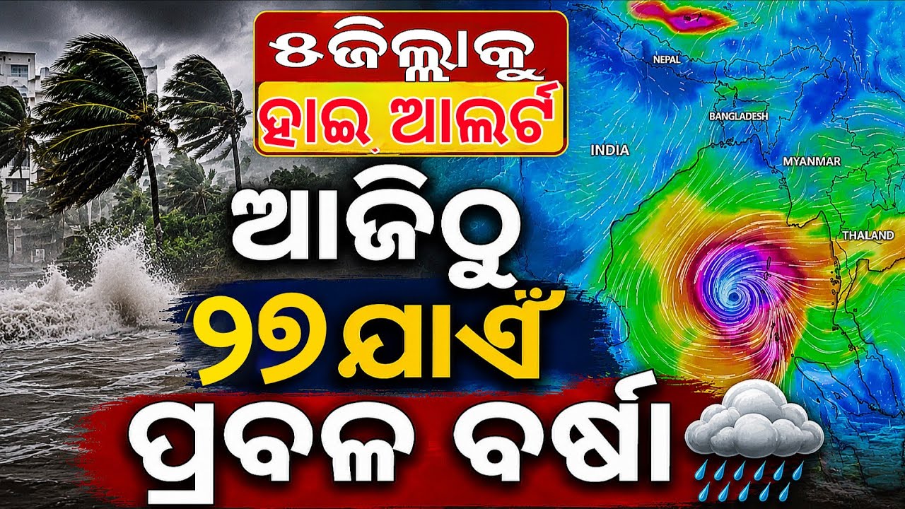 Odisha Rain News Today | Low Pressure Update | IMD Issues Yellow Warning for 12 Districts