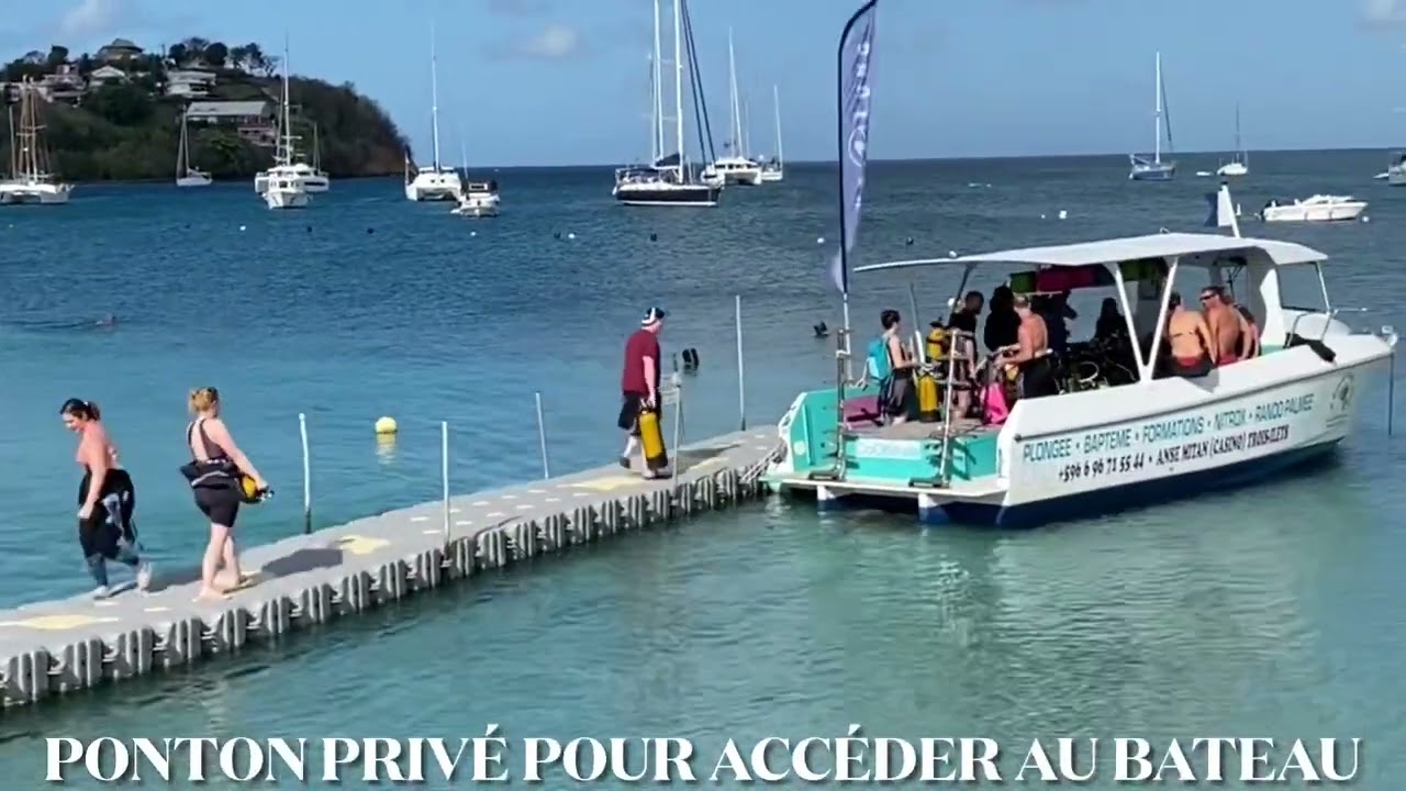 Découvrez la plongée sous-marine en MARTINIQUE avec le centre de plongée ABC Dive !
