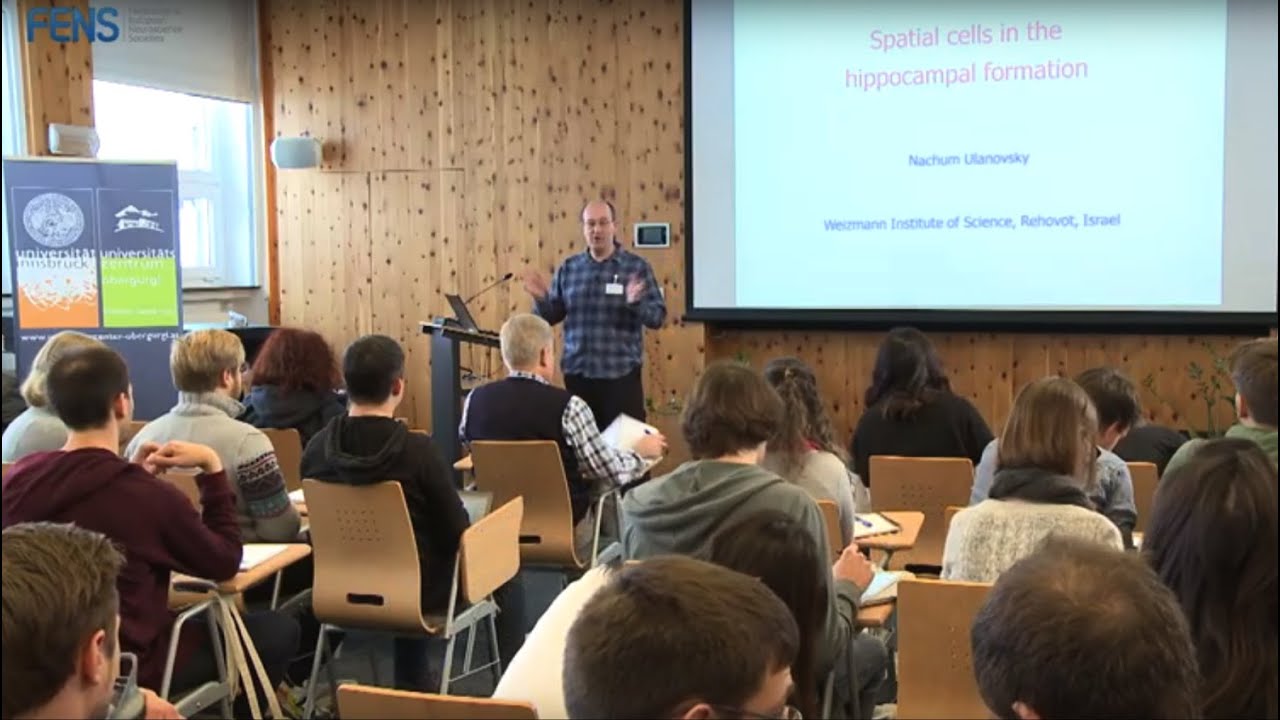 Nachum Ulanovsky on Spatial cells in the hippocampal formation - PART I