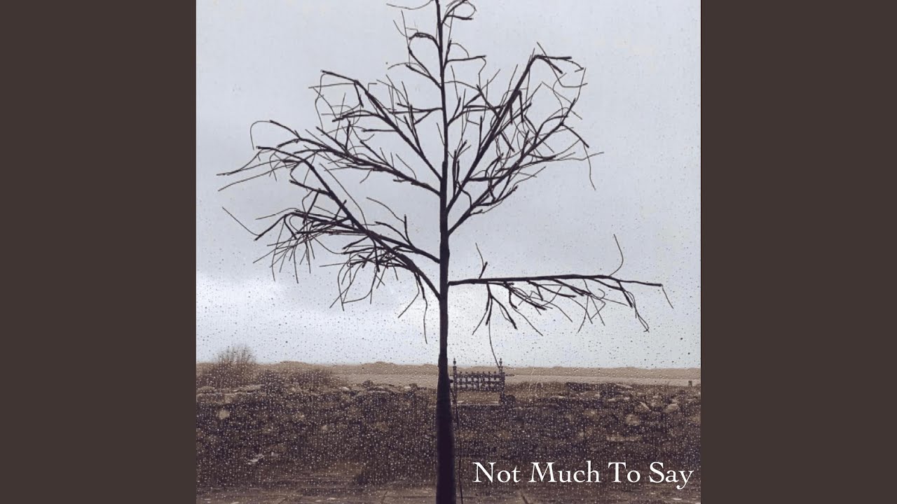 Not Much To Say