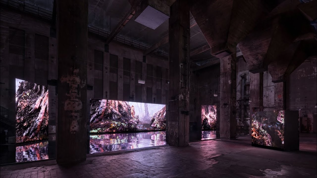 LAS x Berlin Science Week: Retracing Berlin's Wetlands