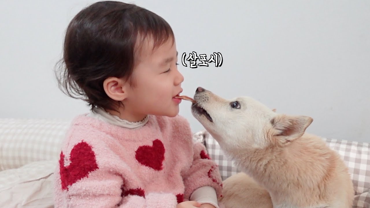 엄마가 자리 비운 사이 아기가 강아지에게 하는 행동.. *핵귀여움*