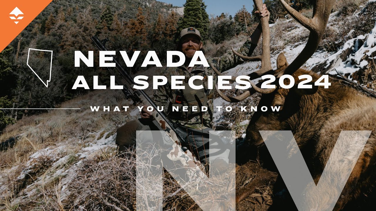 How to Go Hunting in Nevada! - Everything You Need to Know