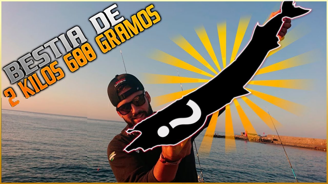 Surfcasting granada. SORPRESA EN ADRA (ALMERÍA)