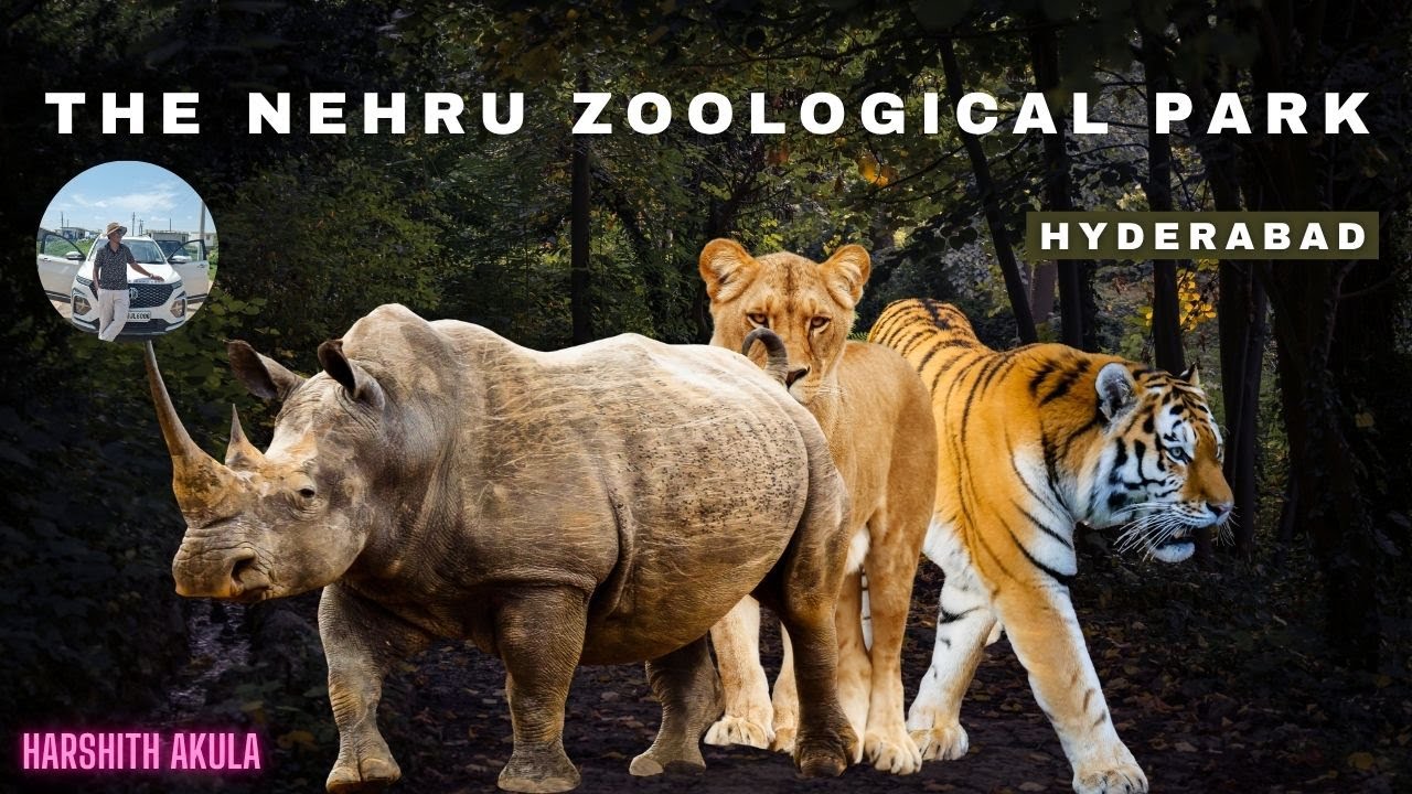 The Nehru Zoological Park |  Hyderabad | 2025
