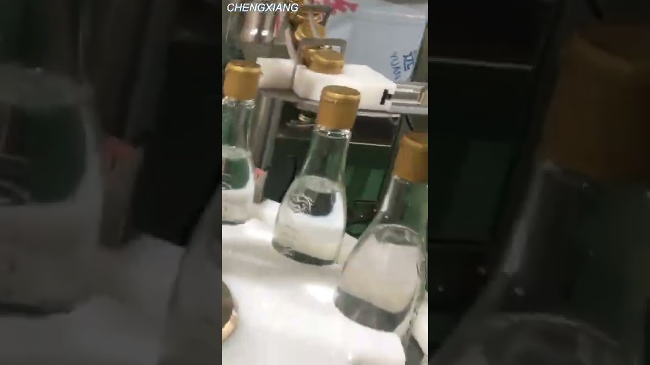 Fish sauce filling machine 500ml