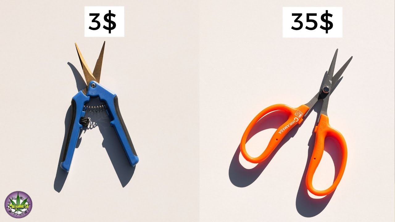 5$ versus 35$ Trimming Scissors - Which is better?