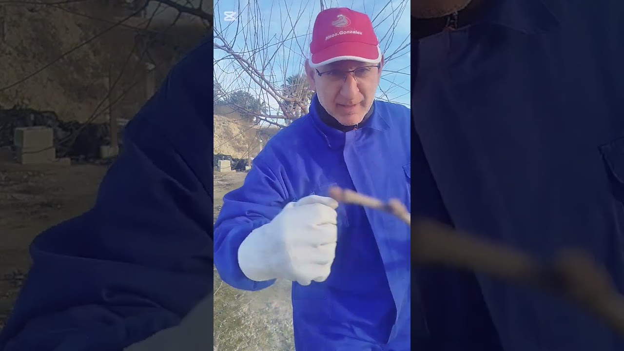 Día de poda 