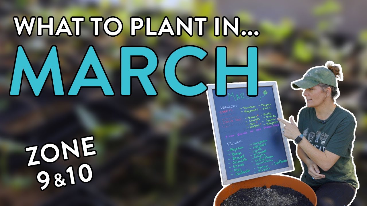 What to plant in March in Southern California