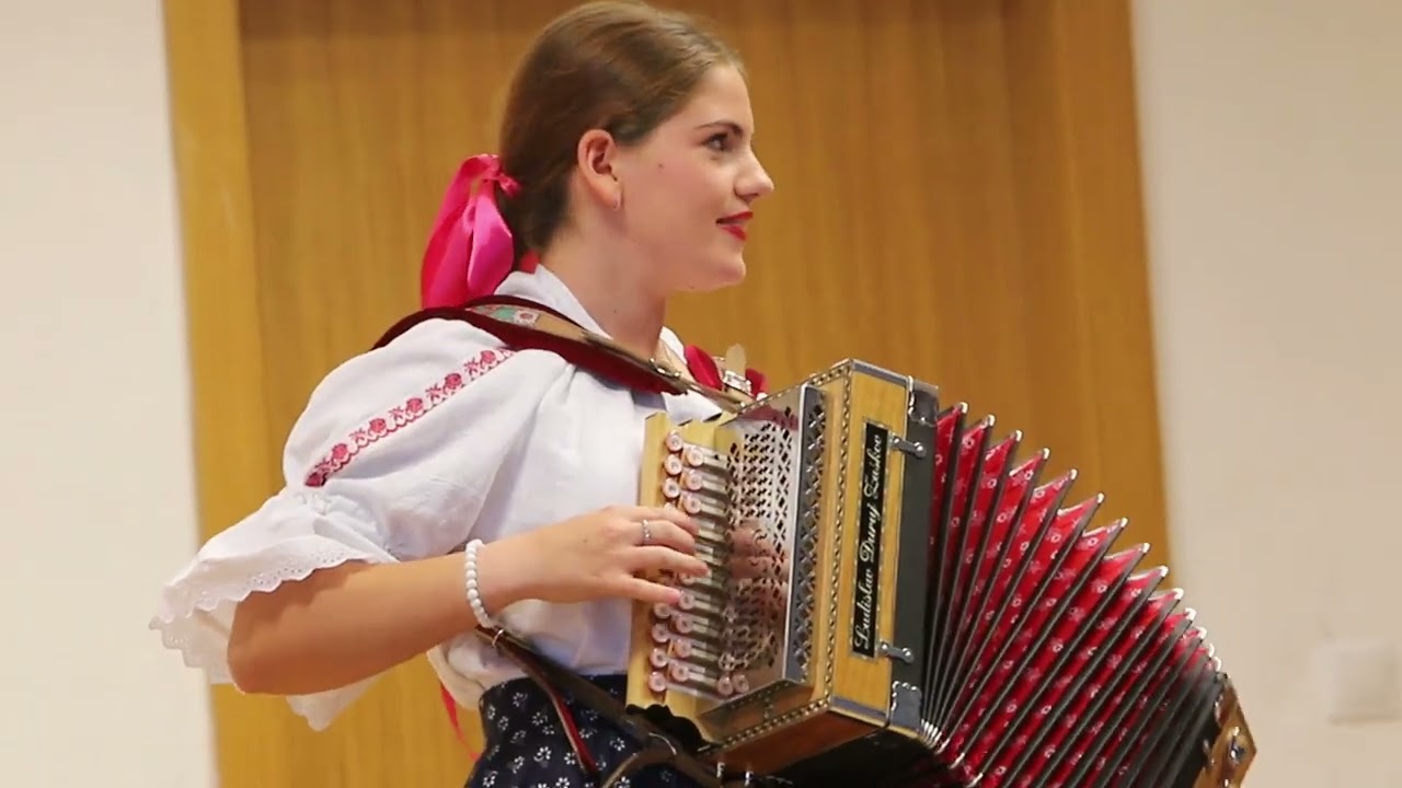 Stretnutie harmonikárov Stankovany