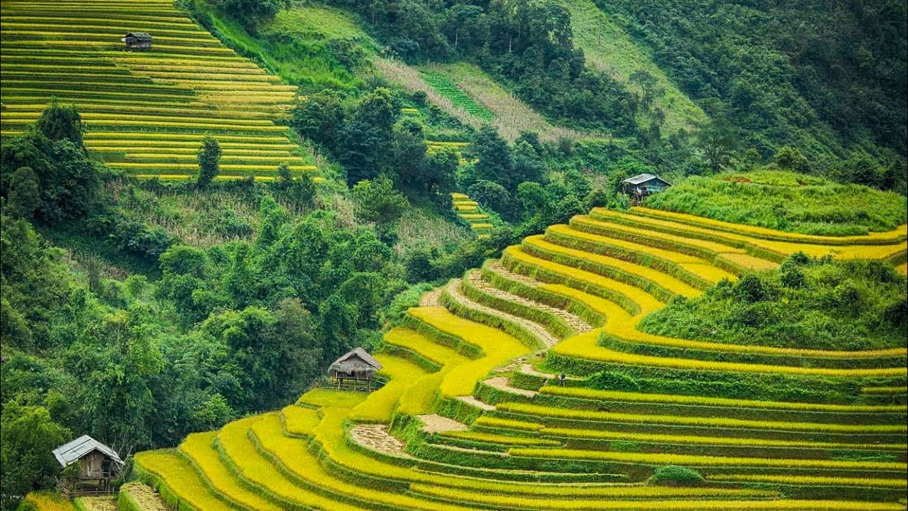 Tổng Hợp Iu Mienh Yesu Znung 2022 | iu mien pao zung