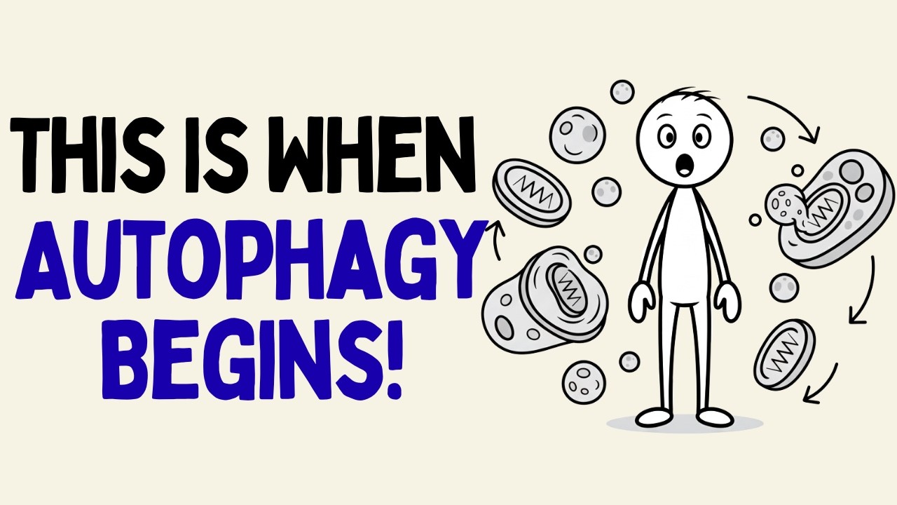 How Long Could You Fast Before Triggering Autophagy? (Science Explained)