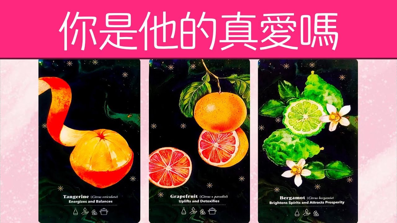 你是不是他情感上的唯一？心裡有別人嗎？他對你是否情真意切？你是他的真愛嗎？|曖昧|暗戀|戀愛|吵架|塔羅占卜|