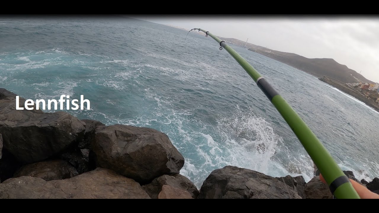 PESCANDO A BOYA, Un no parar!! Galanas? Palometas?Bogas?