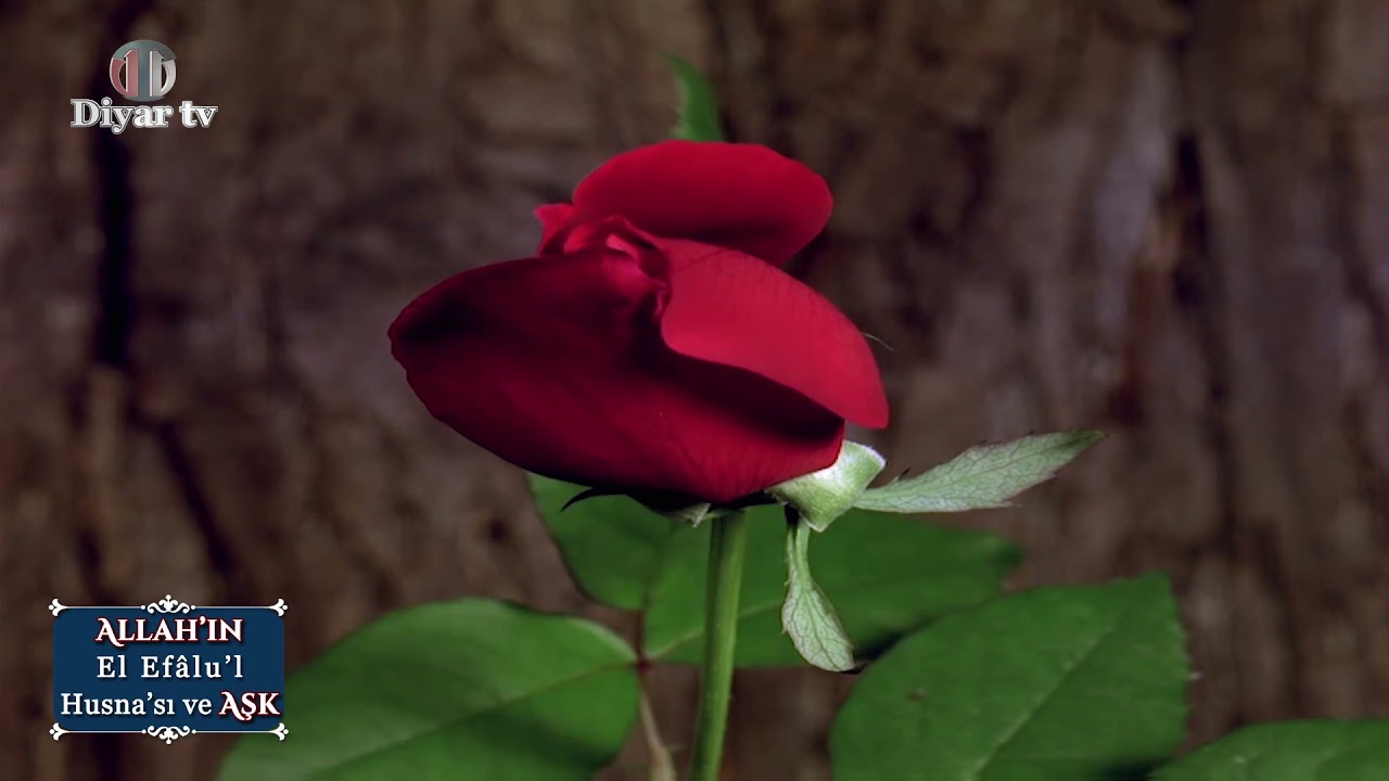 Kadir Gecesi Özel Sohbeti - Pir Muhammed Hüseyin (R.A)