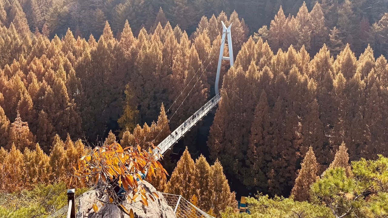 South Korea-Jangtaesan Natural Recreation Forest and Jeonju Hanok Village
