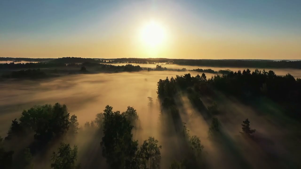 MORNING MIST IN PORKKALA PENINSULA | DRONE