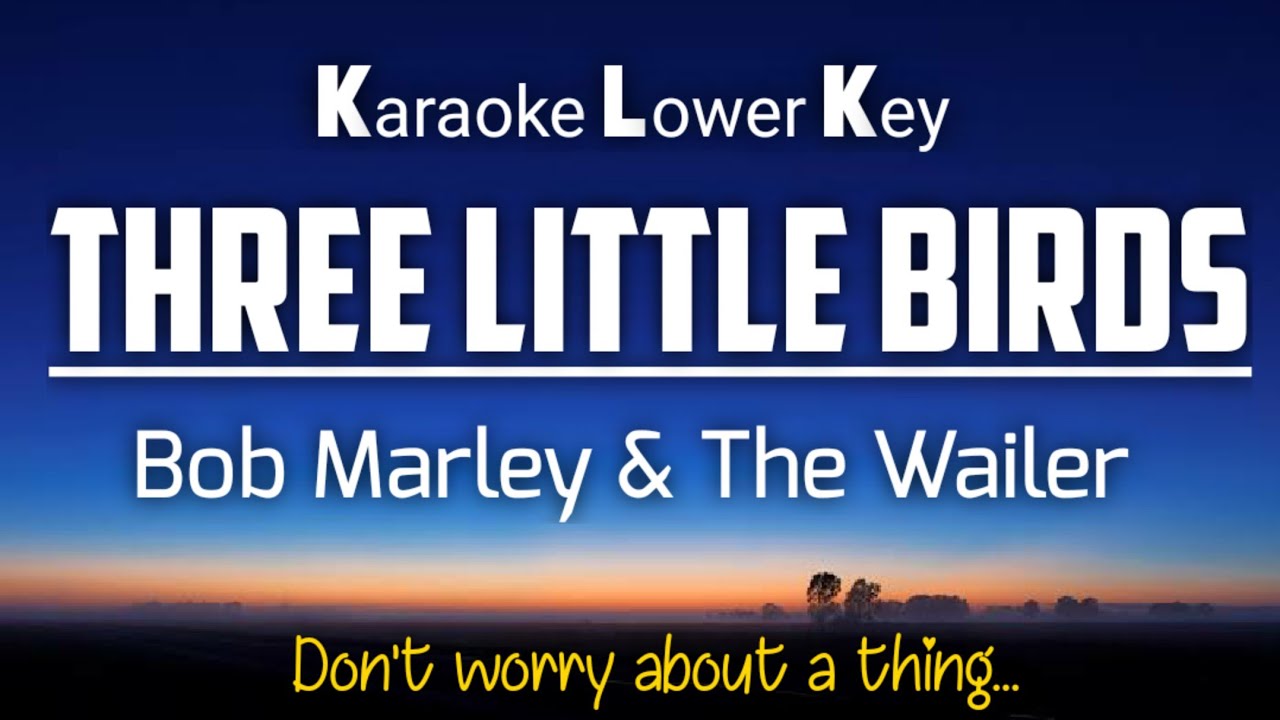 Bob Marley - Three Little Birds Karaoke Lower Key