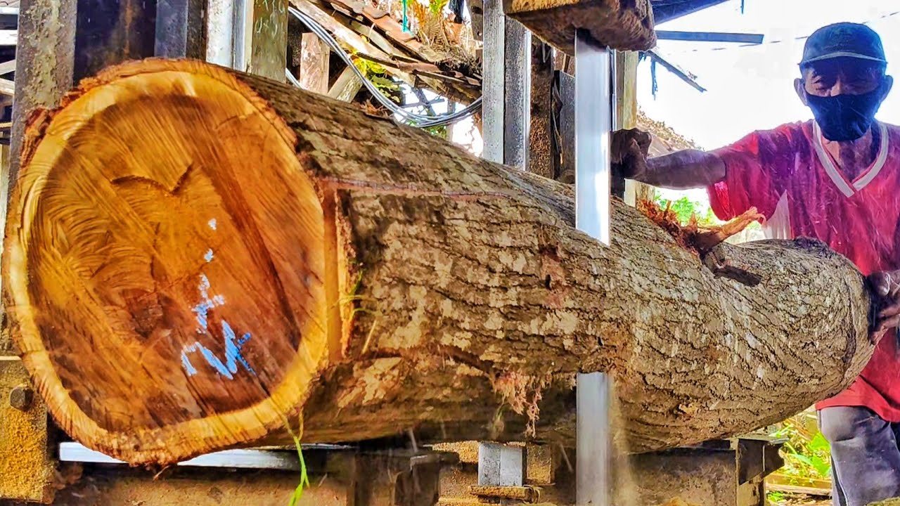 Acacia wood!! processed into planks at the sawmill