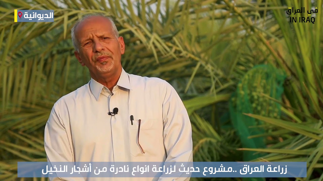 مزرعة حديثة في الديوانية لزراعة انواع نادرة من التمور
