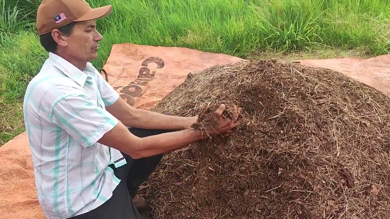 Horta Natura 🌱 Compostagem De Capim