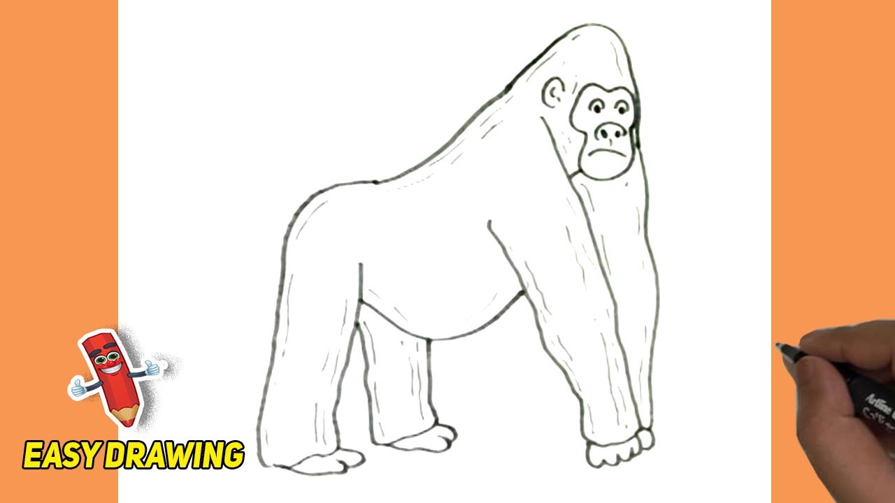 How To Draw A Gorilla Step BY Step | A Gorilla Easy Line Drawings | A Gorilla drawings Tutorials
