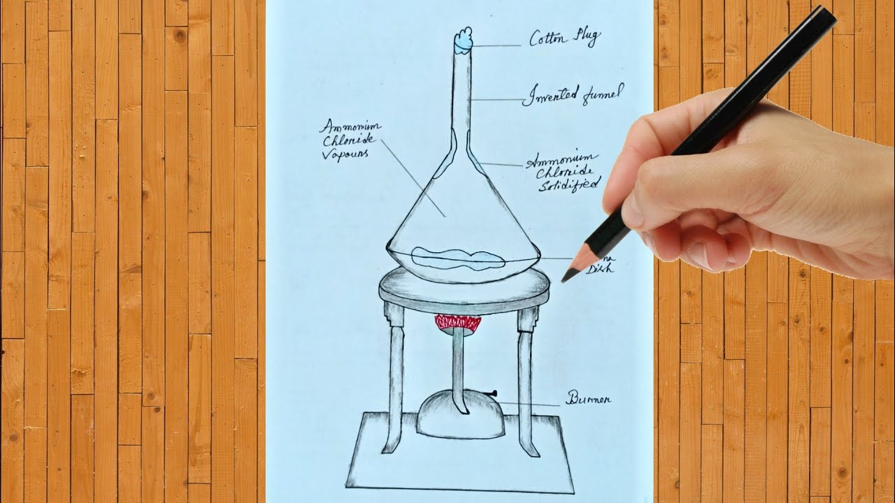 How To Draw Sublimation Of Ammonium Chloride Step By Step | Sublimation Of Ammonium Chloride Drawing