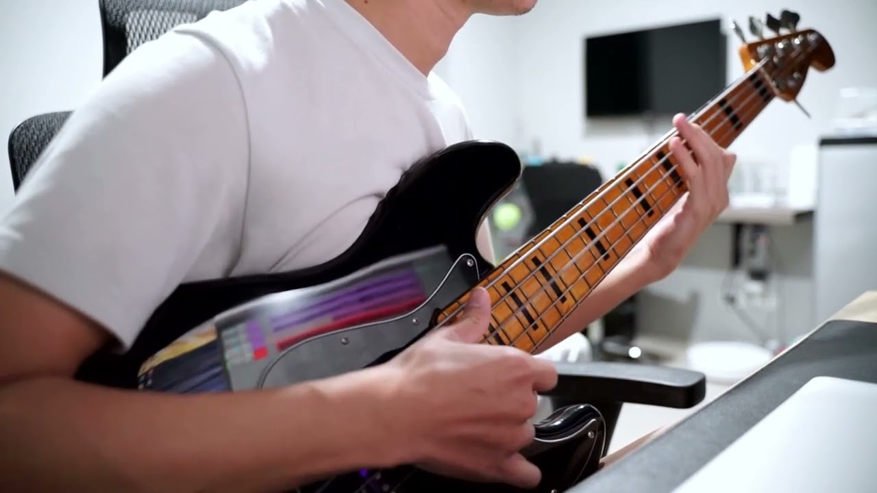 TesseracT - Survival [Bass Cover]