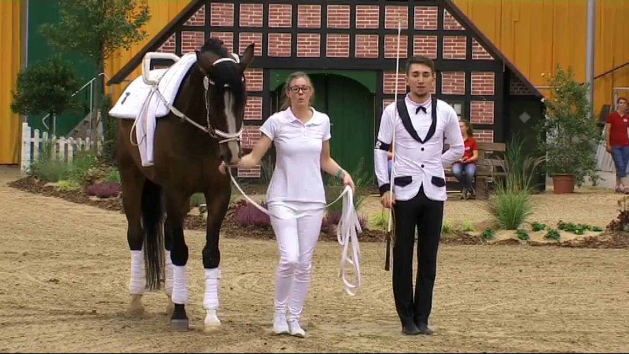 Konstantin Merk - Herren 13 - DMV Verden 2016