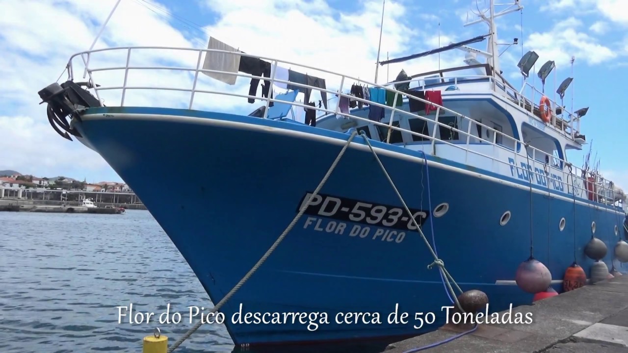 Flor do Pico descarrega cerca de 50 Toneladas, Madalena Ilha do Pico
