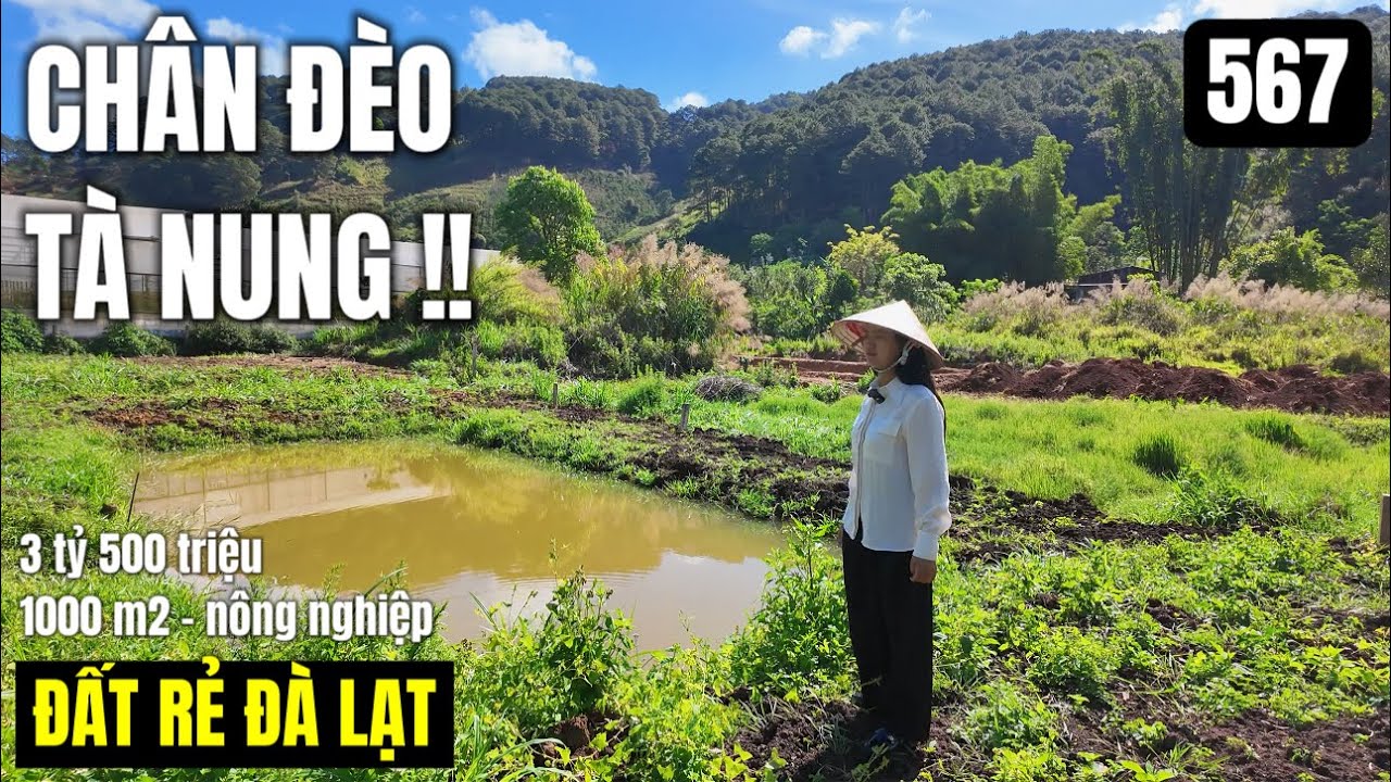 Ngay chân đèo Tà Nung khu du lịch bao quanh 1000 m2 chỉ 3 tỷ 500 triệu cách TL 725 700 m 