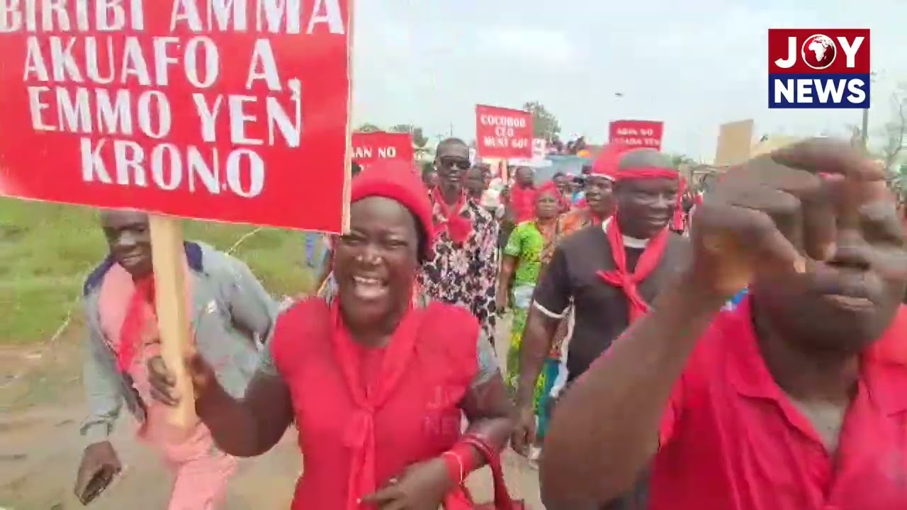 Cocoa farmers in Sefwi Dwenase, Western North petition COCOBOD to review cocoa price. #JoyNews
