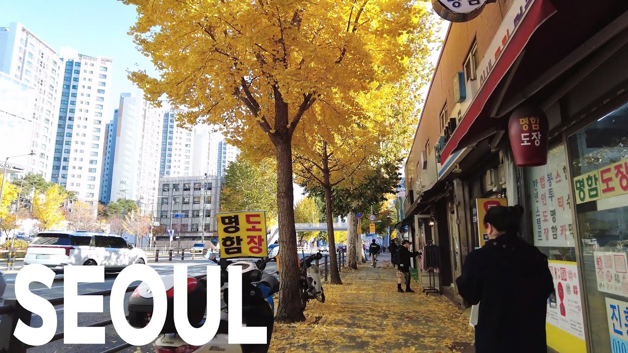 SEOUL : 지하철3호선 독립문역에서 서대문 형무소 역사관, 영천시장, 서대문역지나 충정로역까지   / Autumn scenery in Seoul