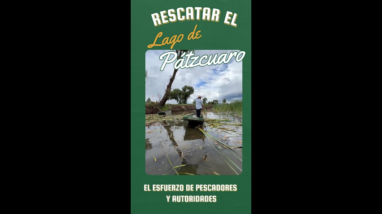 ¡Así se está limpiando el lago de Pátzcuaro desde Erongarícuaro!