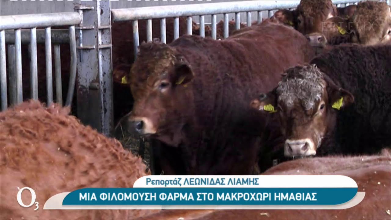 Μια φιλόμουση φάρμα στο Μακροχώρι Ημαθίας | 14/12/2020 | ΕΡΤ