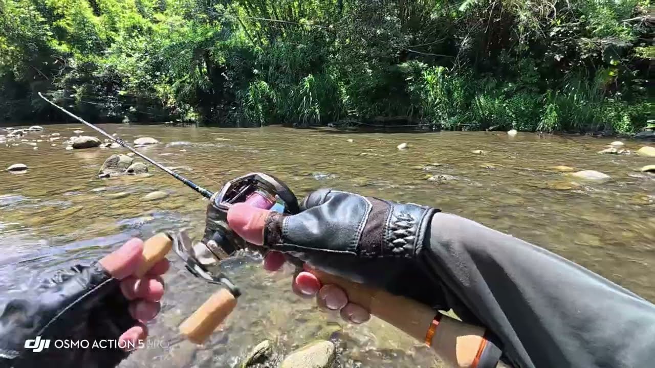 溪流微釣組合-Smith BST-EXS45UL/C3 + DAIWA SILVER CREEK AIR TW STREAM CUSTOM 8.5L