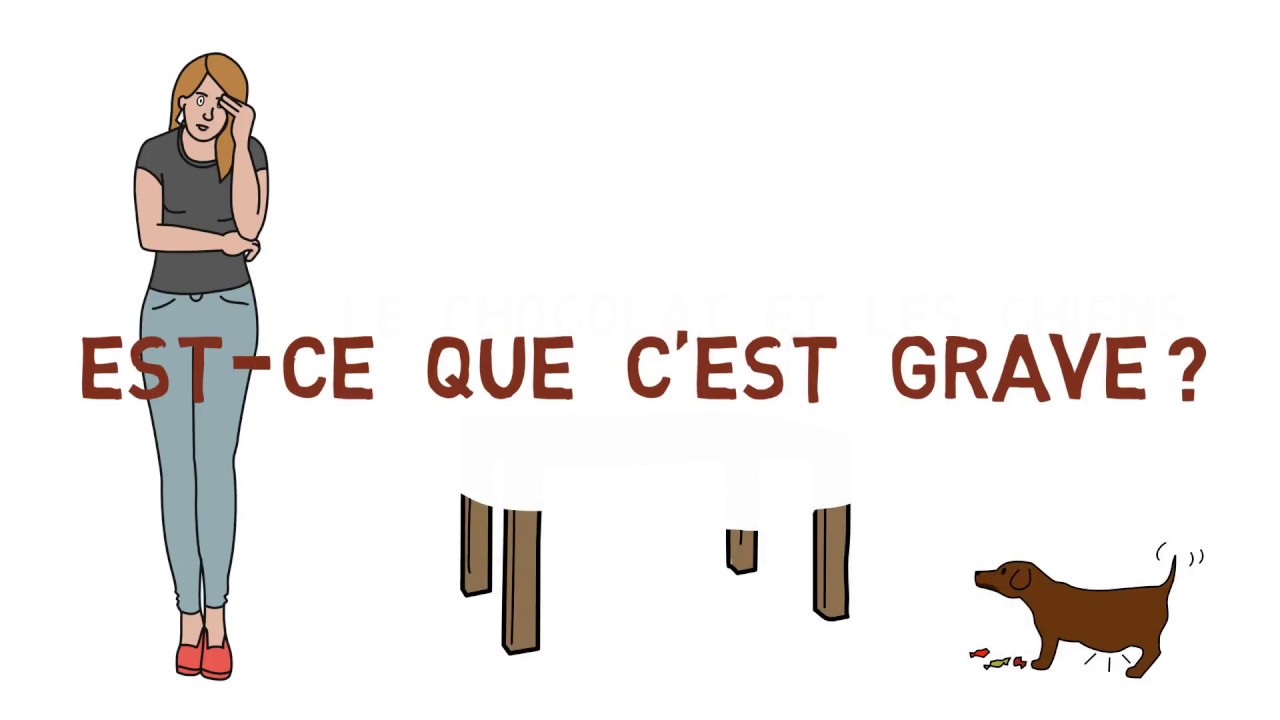 Le chocolat : un toxique pour les chiens et les chats !